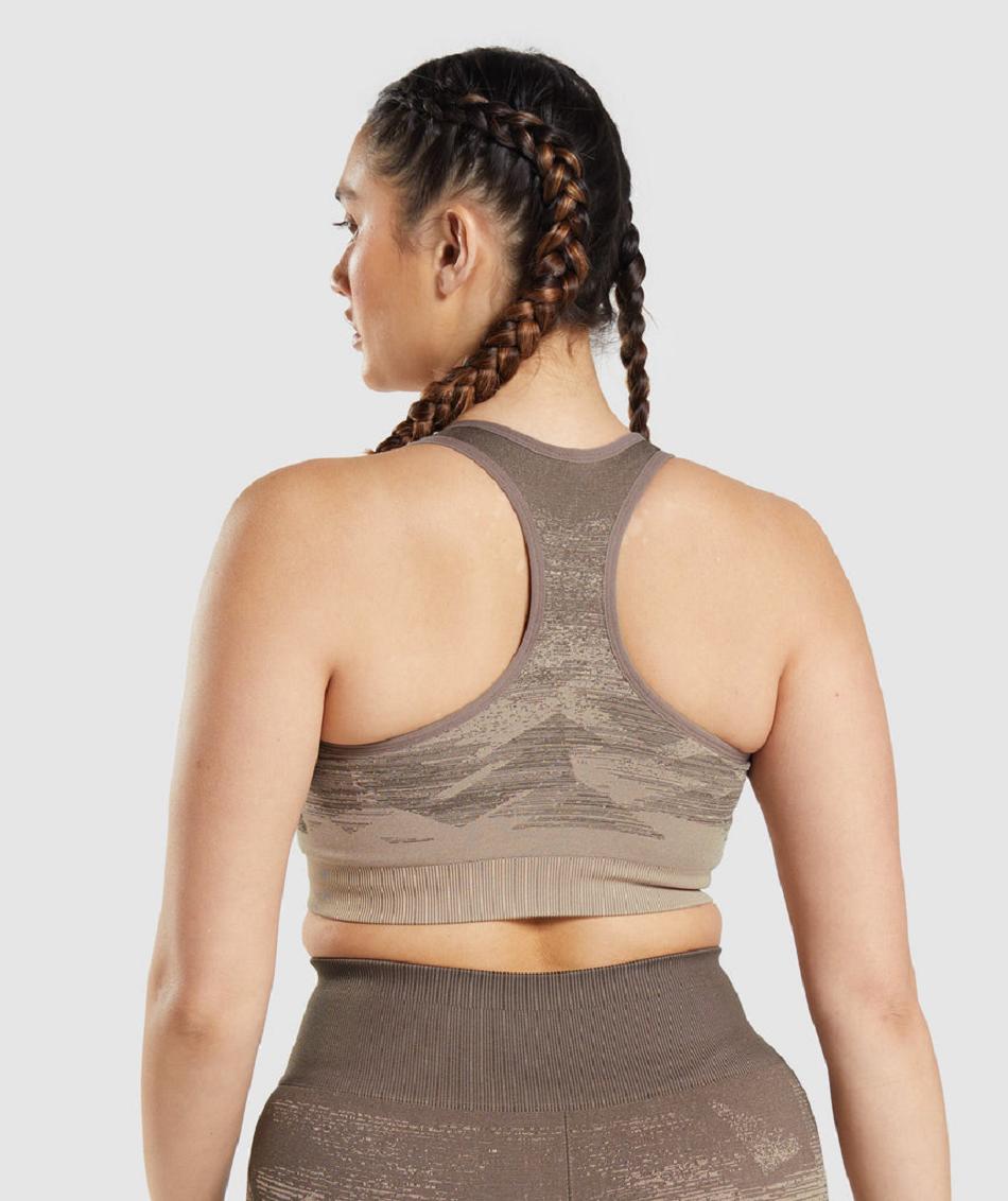 Sujetadores Deportivos Gymshark Adapt Ombre Seamless Mujer Marrones | CO 2199OKI